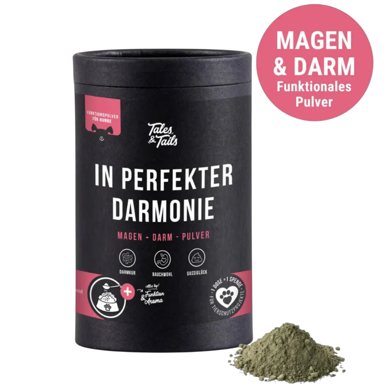 Tales & Tails Dog - In perfekter Darmonie