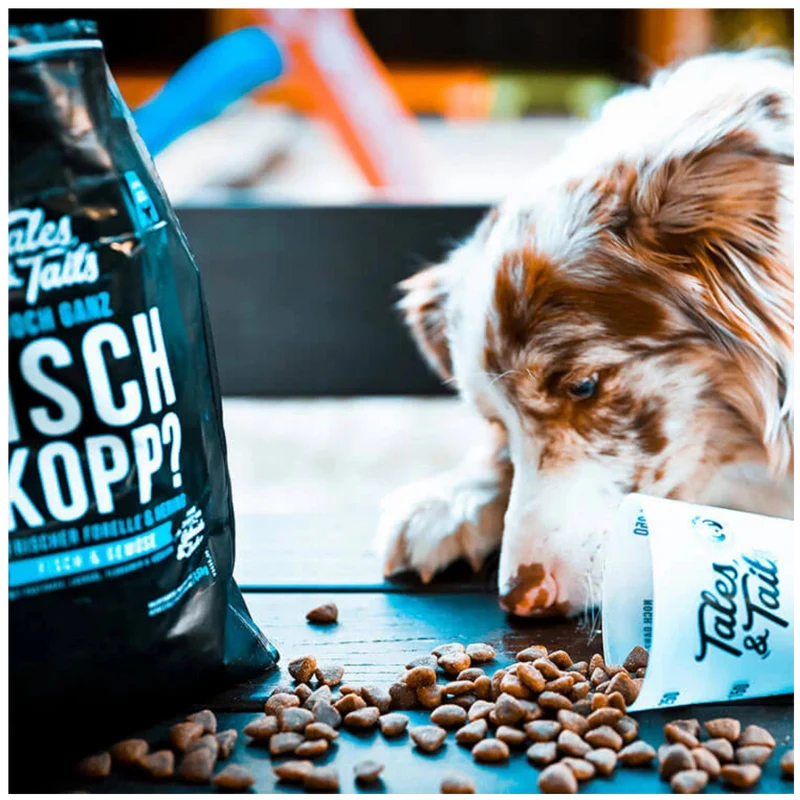 Tales & Tails Dog – Noch ganz Fisch im Kopp
