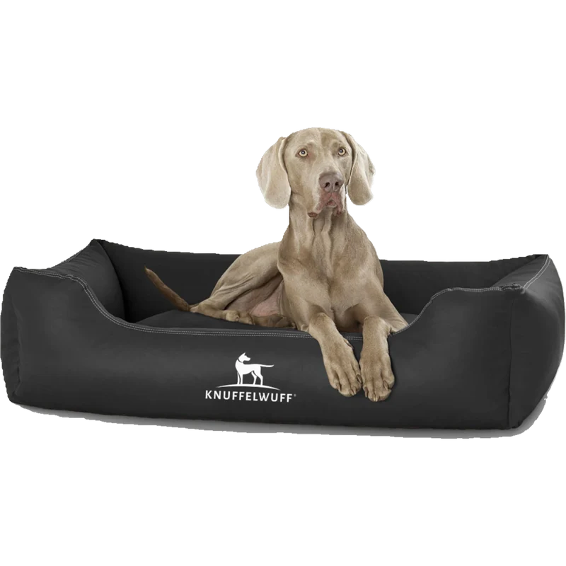 Knuffelwuff Kunstleder Hundebett Sidney – robust, bequem & pflegeleicht