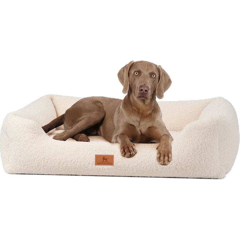 Knuffelwuff orthopädisches Hundebett Wollekopp – Kuscheliger Teddy-Stoff & gesunder Schlafkomfort