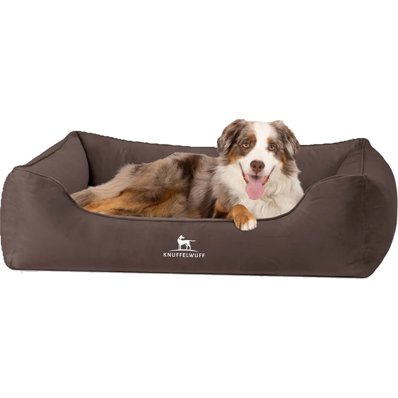 Knuffelwuff orthopädisches Hundebett Jona – stilvoller Samt & gesunder Schlafkomfort