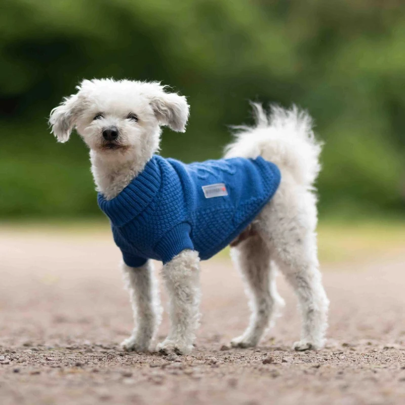 Wolters Strickpullover Tristan für Hunde