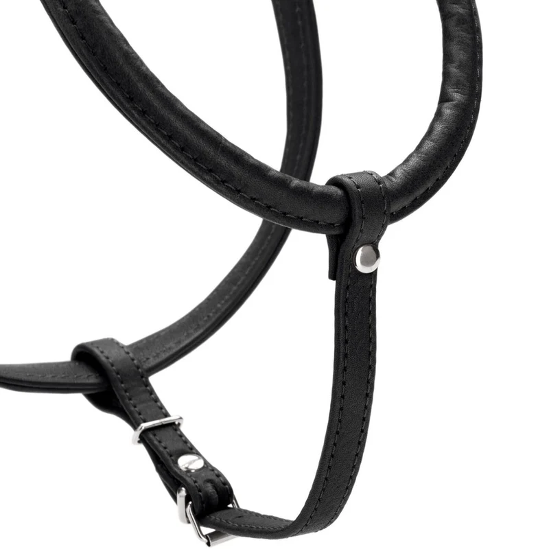 Hundegeschirr Round & Soft Canadian Up