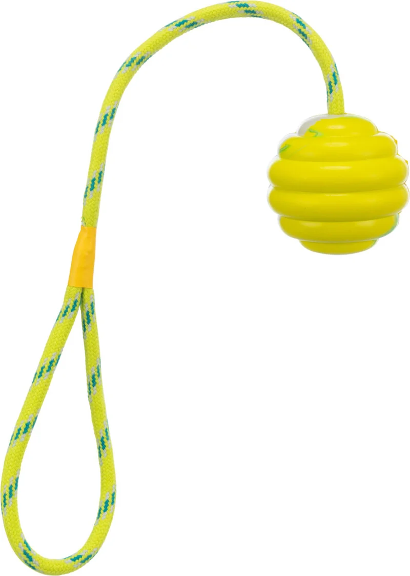Wellenball am Seil für Hunde