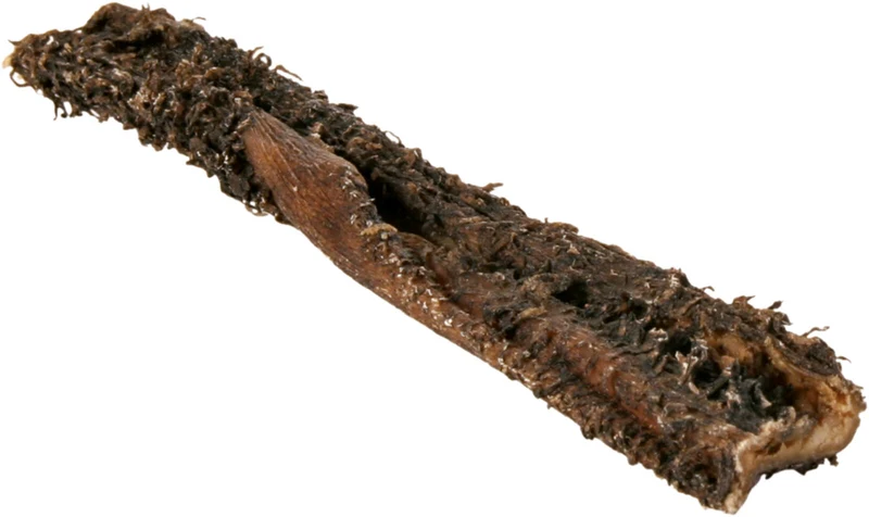 Rinderpansen