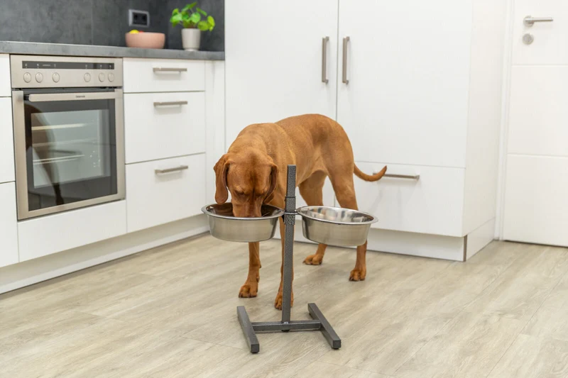Hundebar, Metall/Edelstahl