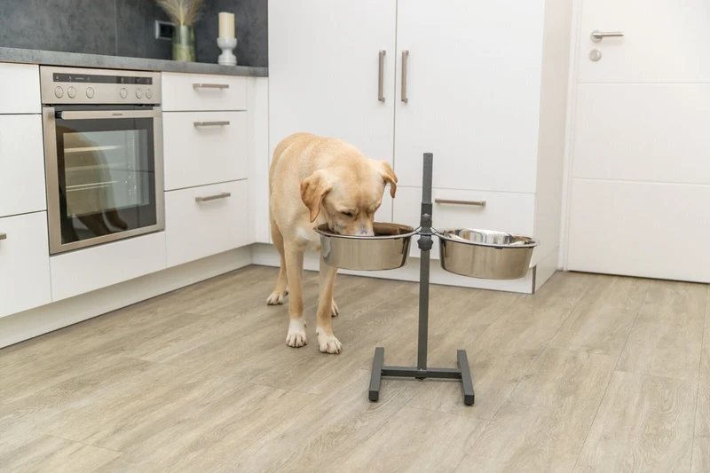 Hundebar, Metall/Edelstahl
