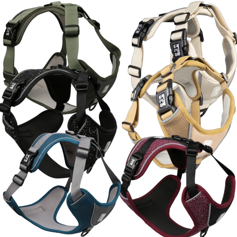 Duvoplus EXPLOR Ultimate Fit No-Pull-Geschirr