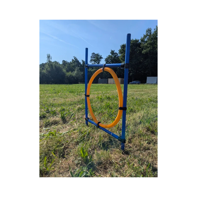 Trixie Agility Ring – Verstellbarer Sprungreifen für aktives Hundetraining