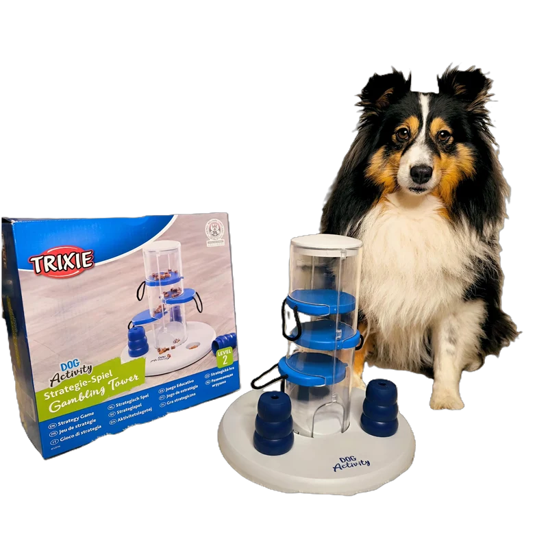 Dog Activity Gambling Tower – Strategietraining für schlaue Spürnasen