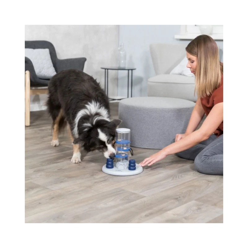 Dog Activity Gambling Tower – Strategietraining für schlaue Spürnasen