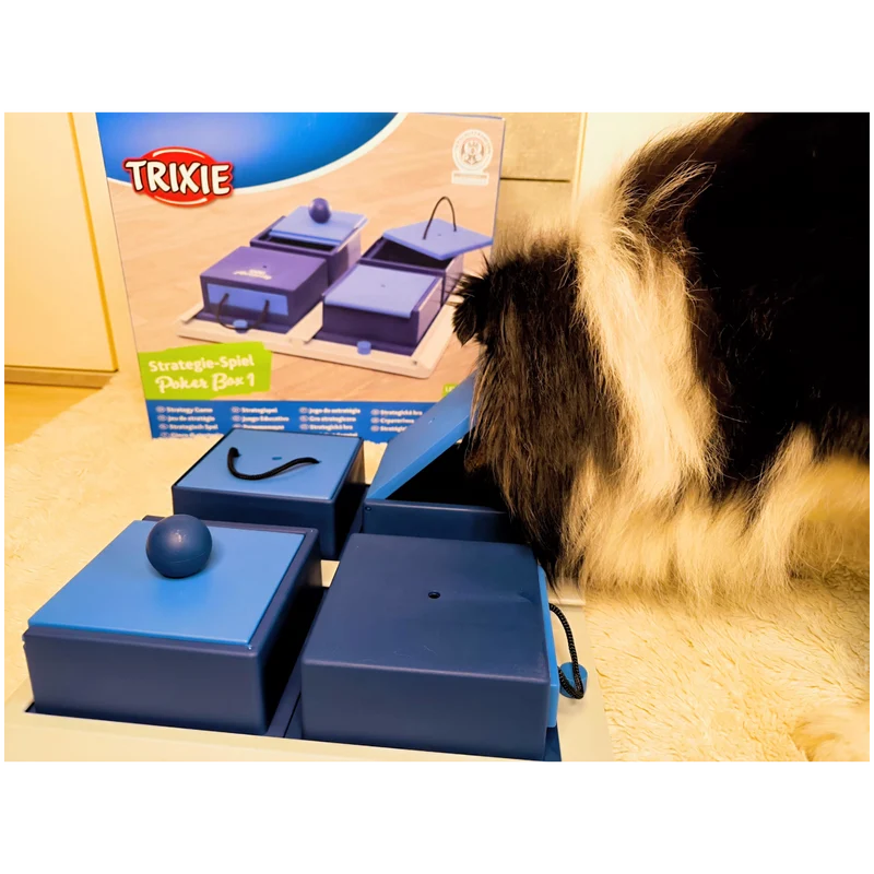 Intelligenzspielzeug Poker Box - Level 1 – Denkspaß mit System