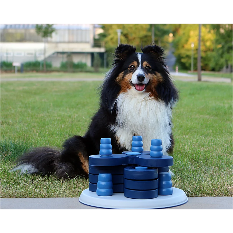 Intelligenzspielzeug Level 3 – Spielturm für fortgeschrittene Spürnasen