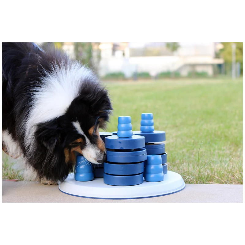 Intelligenzspielzeug Level 3 – Spielturm für fortgeschrittene Spürnasen