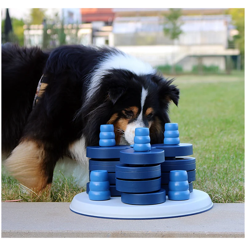 Intelligenzspielzeug Level 3 – Spielturm für fortgeschrittene Spürnasen