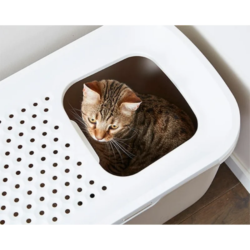 Savic Katzentoilette Hop In – Die smarte Lösung für ein sauberes Zuhause
