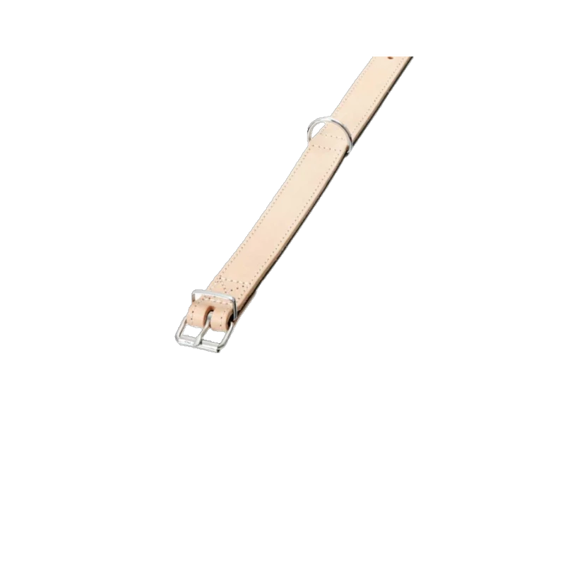 Karlie RONDO Halsband – Edles Lederhalsband für stilbewusste Hunde