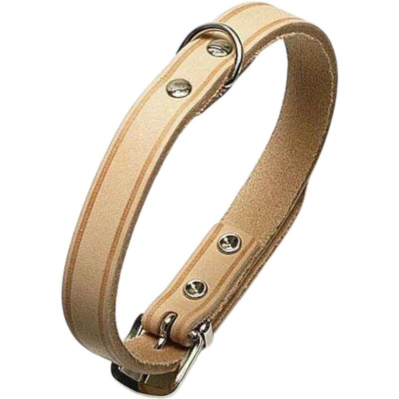 Rondo Genietetes Hundehalsband – Stilvolle Robustheit für deinen Vierbeiner