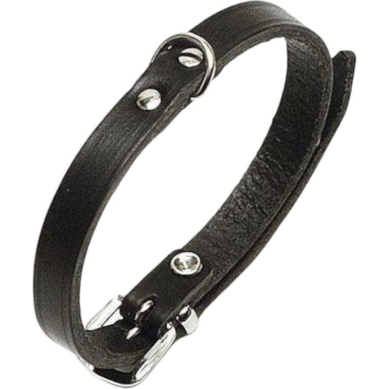 Rondo Genietetes Hundehalsband – Stilvolle Robustheit für deinen Vierbeiner
