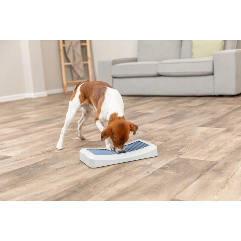 Dog Activity Stäbchenspiel Rod Board aus Kunststoff für Hunde