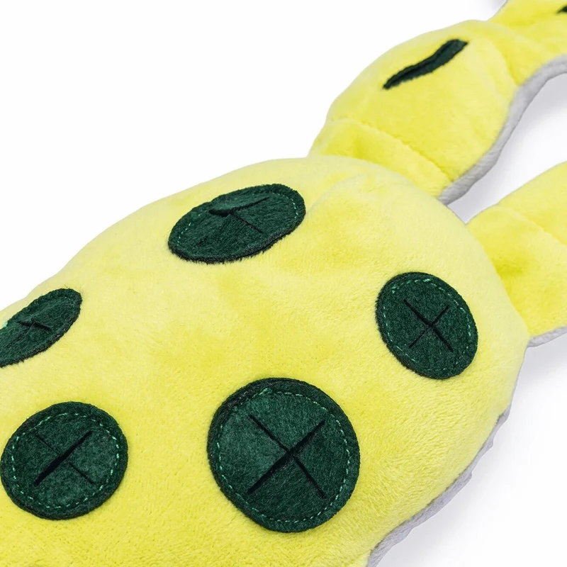 Hide and Seek Frosch Hundespielzeug