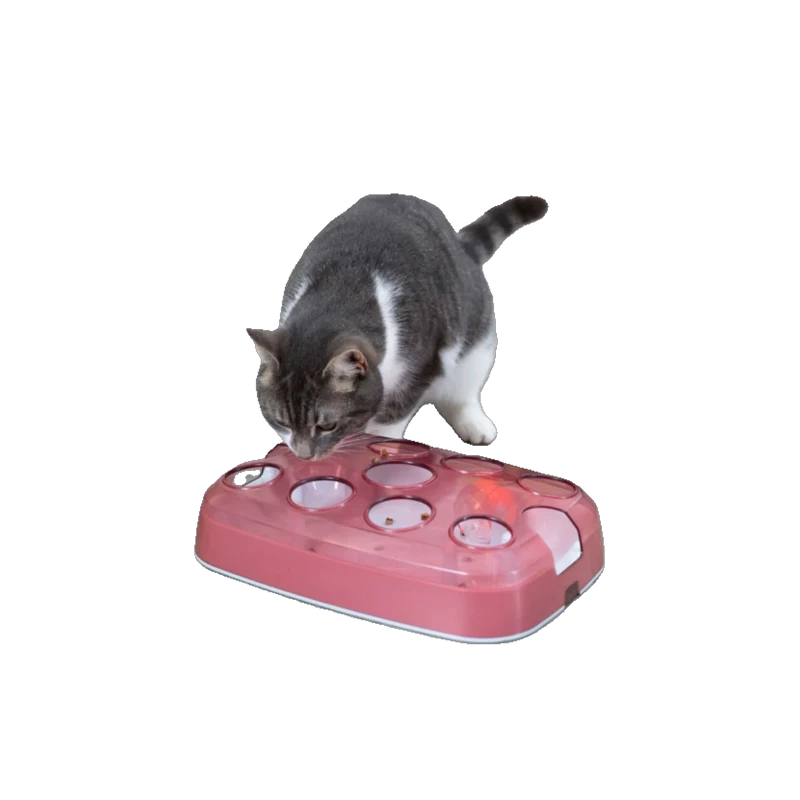 Trixie Spielkasten mit Snackball für Katzen – Interaktives Trainingsspielzeug
