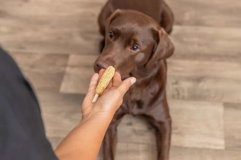 Corn Dogs mit Ente