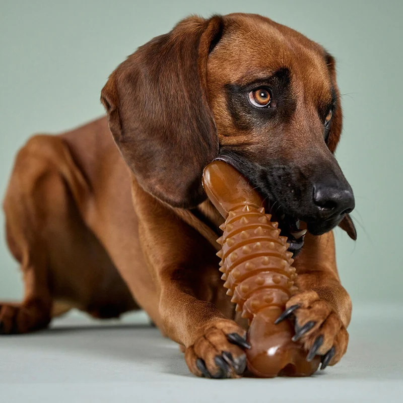 Wolters Pure Nature Dental Herzknochen für Hunde