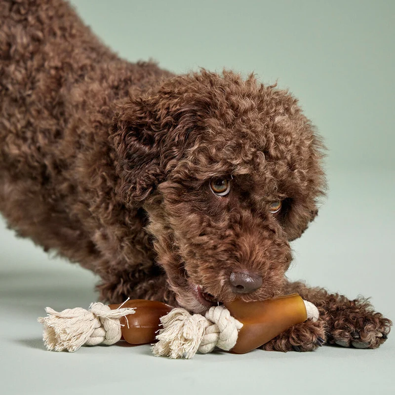 Wolters Pure Nature Spielzeugtau mit Knochen für Hunde