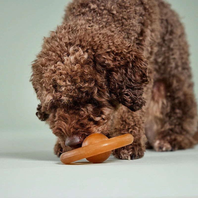 Wolters Pure Nature Spielrad aus Naturkautschuk für Hunde