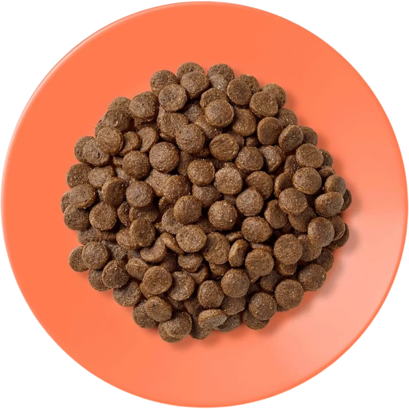 Applaws Adult – Hühnchen & Lachs – Natürliche Premium-Nahrung für Ihre Katze
