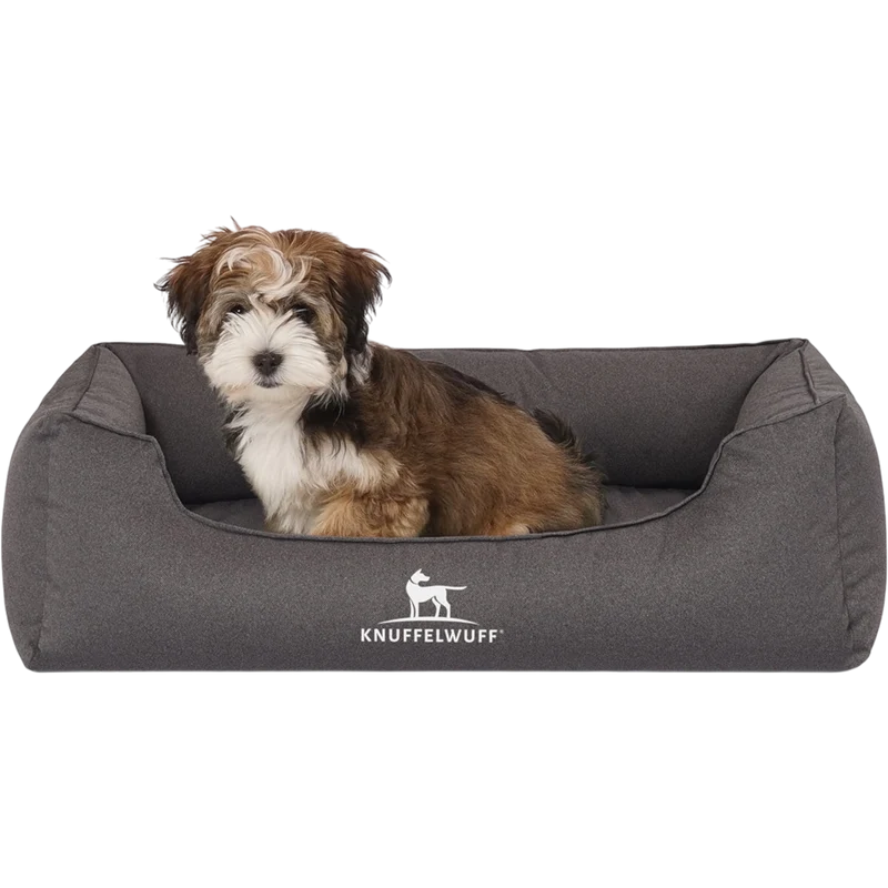 Orthopädisches Hundebett Leon von Knuffelwuff – Höchster Komfort für eine gesunde Erholung