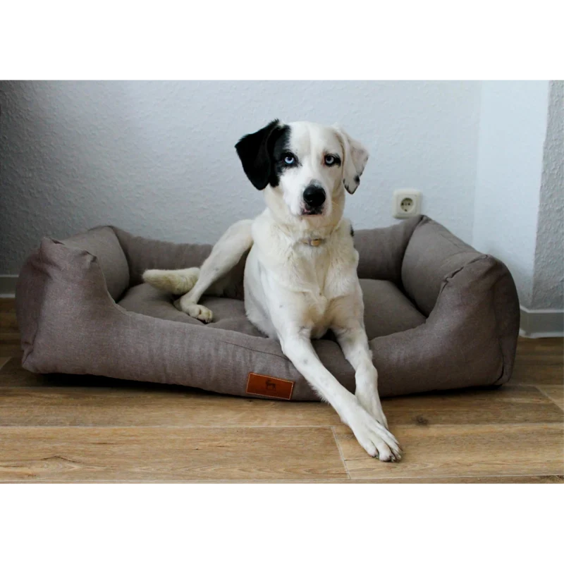 Knuffelwuff Hundebett Lotte – Stilvolles Design trifft auf höchsten Komfort