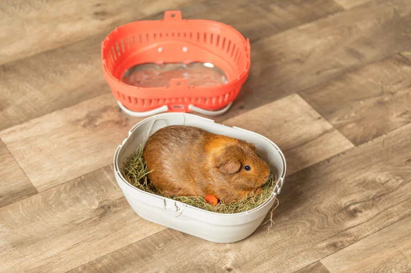 Transportbox Pico