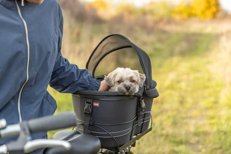 Hundefahrradkorb mit Netzhaube für Gepäckträger