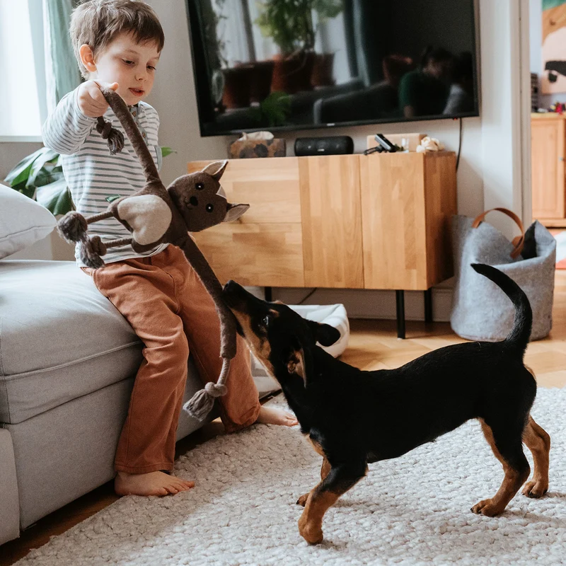 Hundespielzeug Eira