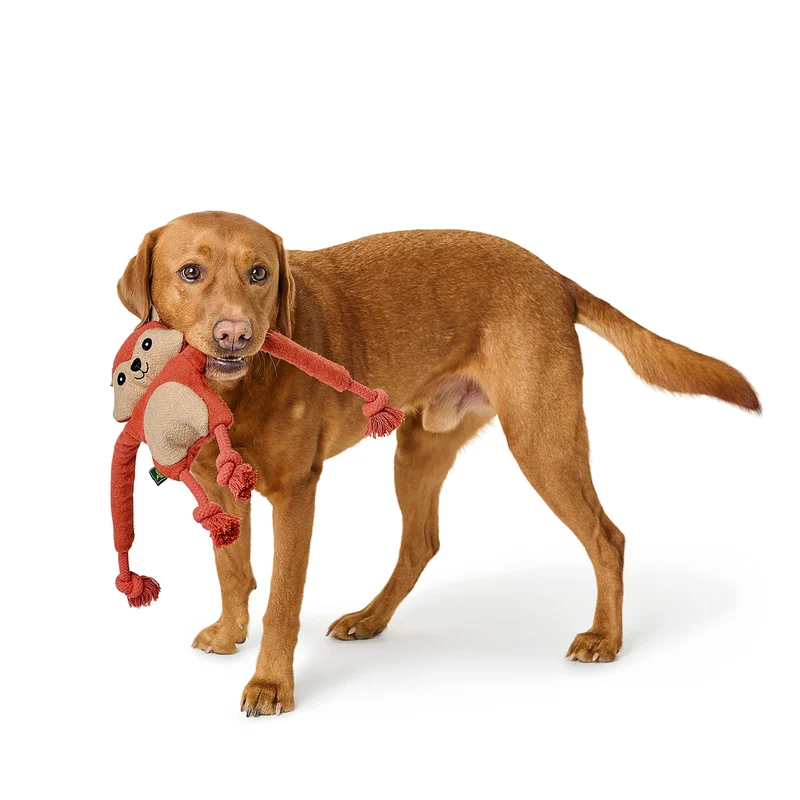 Hundespielzeug Eira