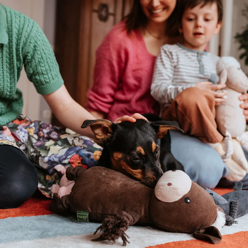 Hundespielzeug Alma