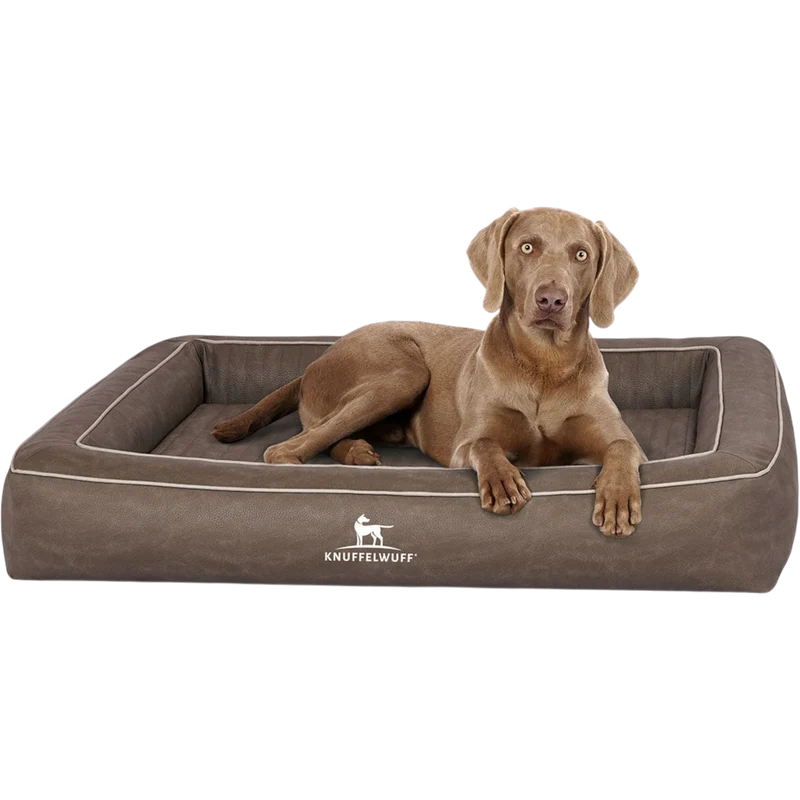 Knuffelwuff Orthopädisches Hundebett Montego – Luxuriöser Schlafkomfort für höchste Ansprüche