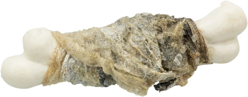 Fishies mit Weißfisch