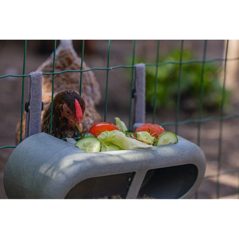 ECO Hühner Feeder