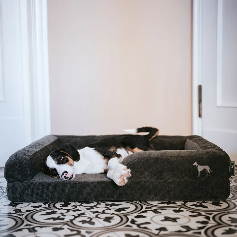 Orthopädisches/Ergonomisches Hundesofa Melun