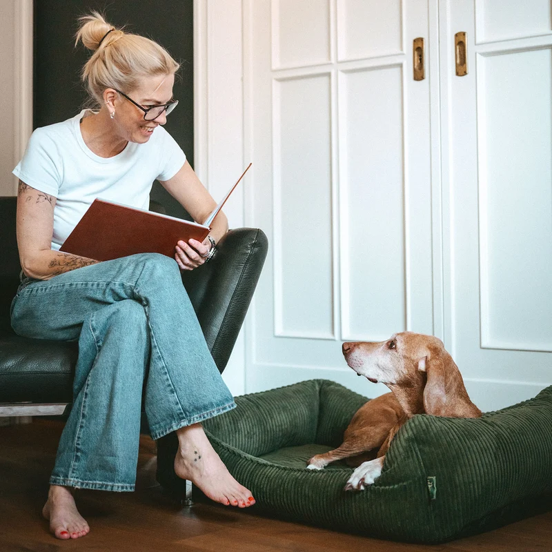 Orthopädisches/Ergonomisches Hundesofa Corbie