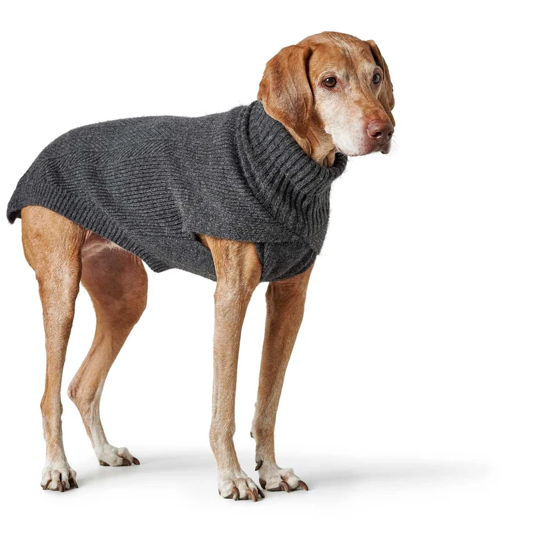 Hundepullover Genf