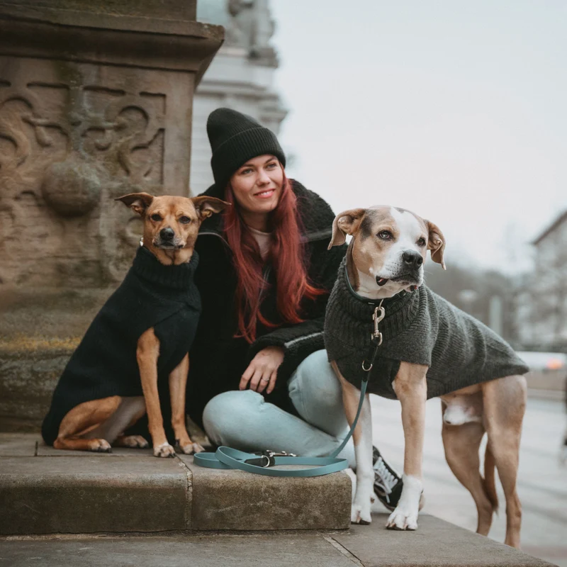 Hundepullover Genf