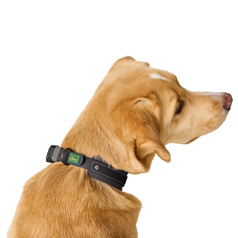Halsband Havanna