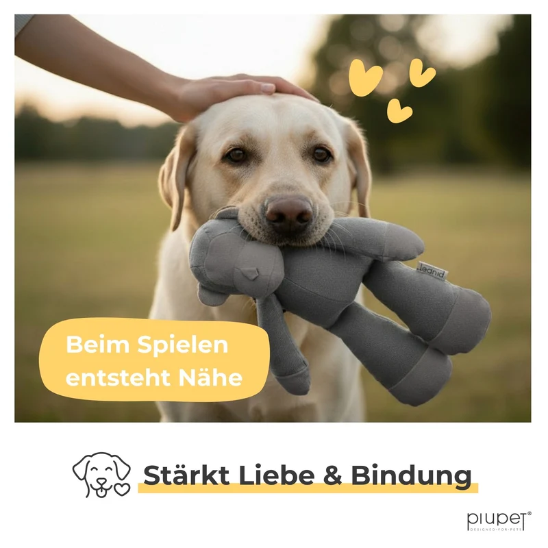 Hundespielzeug "KIBA"