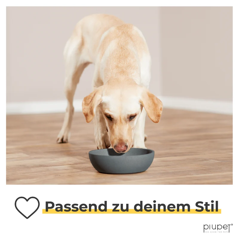 Hundenäpfe "AKI"