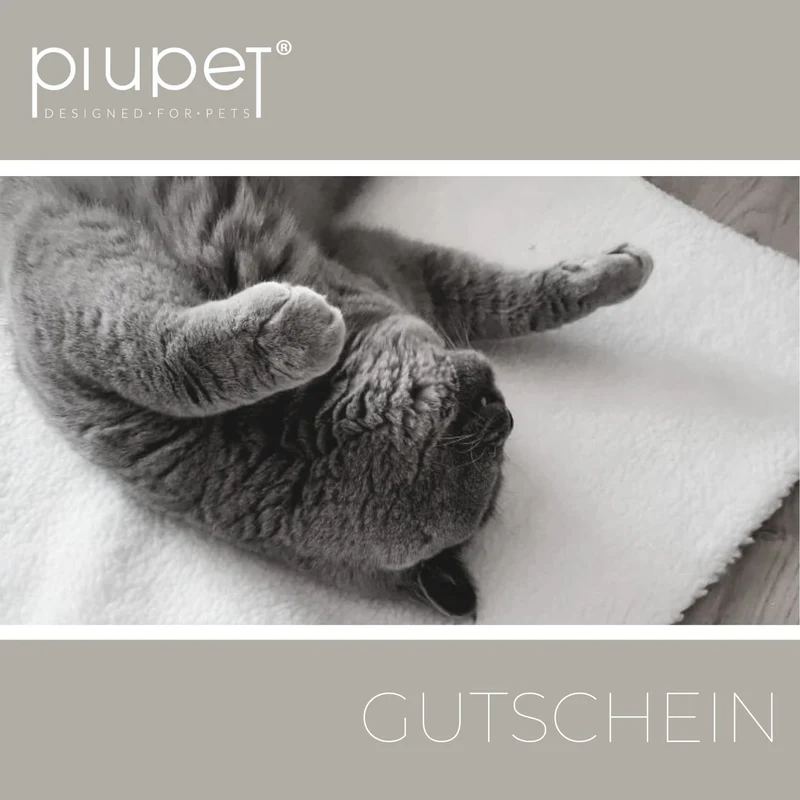 Gutschein "Catlover"