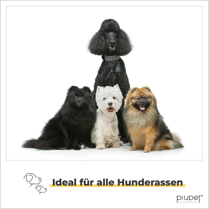 Hundeleine "ANTON"